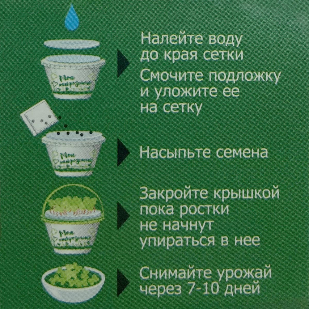 картинка Набор для выращивания Моя микрозелень РЕДИС 