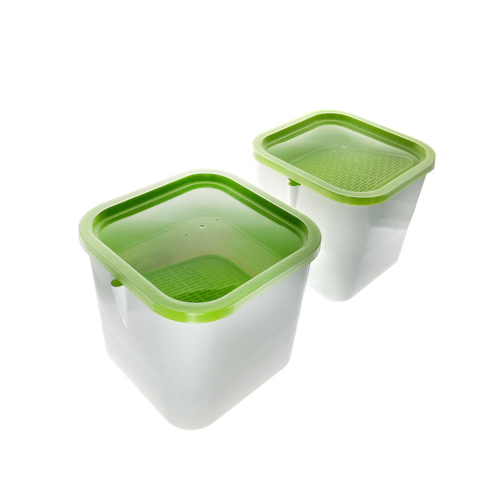 картинка Проращиватель 2х-модульный "Здоровья КЛАД X2", цвет белый 