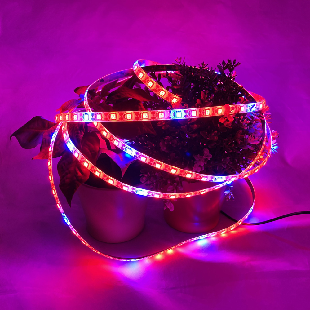 картинка Фитолента LED E-ES1M 3м Espada 