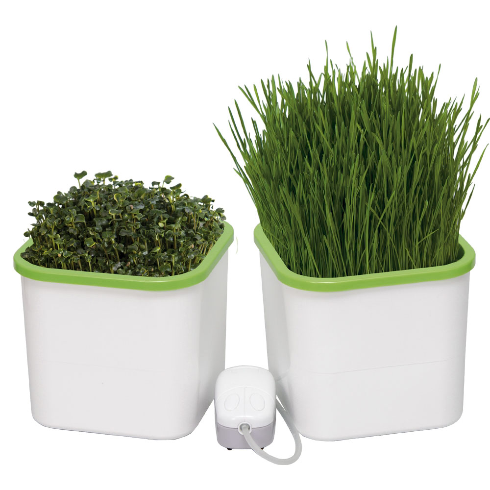 картинка Проращиватель 2х-модульный "Здоровья КЛАД X2", цвет белый 