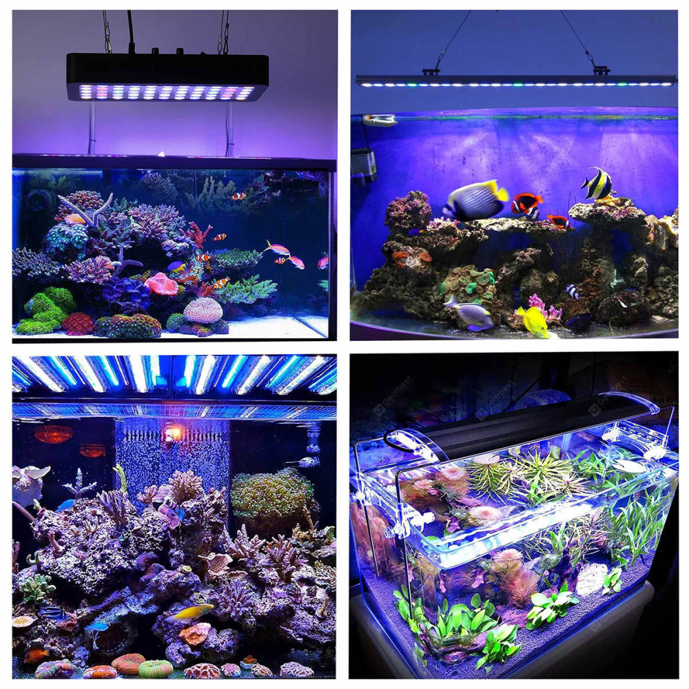 картинка Фитолента LED E-ES1M 1м Espada 